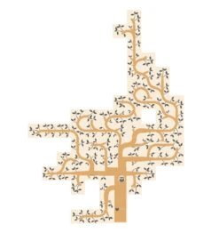 LONDJI Spel Dream A Tree 5 Jr+ 7 LONDJI Spel Dream A Tree 5 Jr+ -Speelgoed Serie Winkel LONDJIspeldreamatreeFG011d