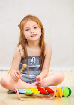 PLAN TOYS Xylofoon 1 Jr+ -Speelgoed Serie Winkel PLANTOYSxylofoon1jr 4006405