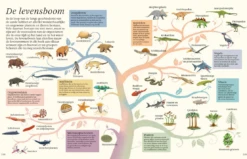 Het Dikke Boek Van Alle Bijzondere Dino's 7jr+ -Speelgoed Serie Winkel Snag 5c3e7eba