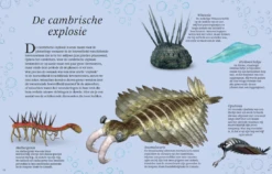 Het Dikke Boek Van Alle Bijzondere Dino's 7jr+ -Speelgoed Serie Winkel Snag 5c3f5b40