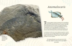 Het Dikke Boek Van Alle Bijzondere Dino's 7jr+ -Speelgoed Serie Winkel Snag 5c3fd532