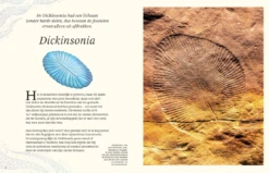 Het Dikke Boek Van Alle Bijzondere Dino's 7jr+ -Speelgoed Serie Winkel Snag 5c404dbe