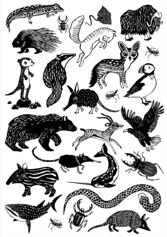 Petit Monkey Tattoo's Black Animals 2 Petit Monkey Tattoo's Black Animals - Afbeelding 2